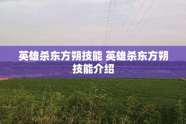 英雄杀东方朔技能 英雄杀东方朔技能介绍 英雄杀东方朔技能 英雄杀东方朔技能介绍