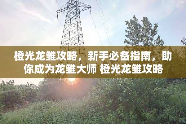 橙光龙雏攻略，新手必备指南，助你成为龙雏大师 橙光龙雏攻略