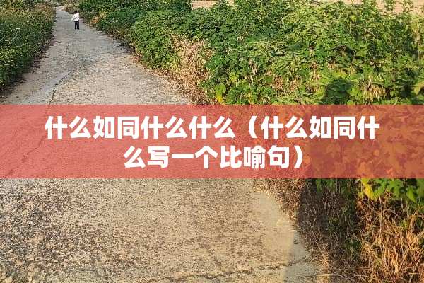 什么如同什么什么（什么如同什么写一个比喻句）
