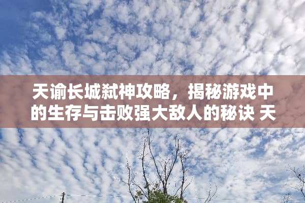 天谕长城弑神攻略，揭秘游戏中的生存与击败强大敌人的秘诀 天谕长城弑神攻略