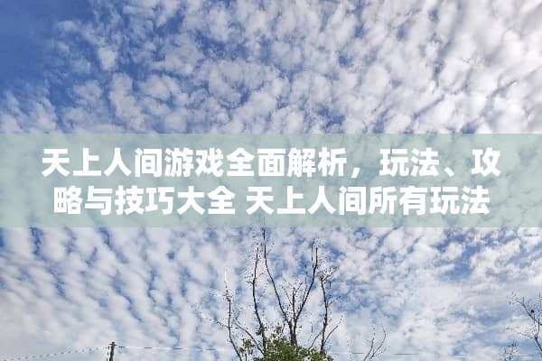 天上人间游戏全面解析，玩法、攻略与技巧大全 天上人间所有玩法