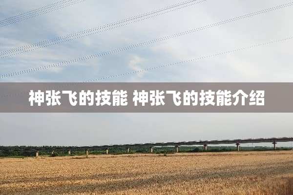 神张飞的技能 神张飞的技能介绍