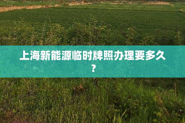 上海新能源临时牌照办理要多久？