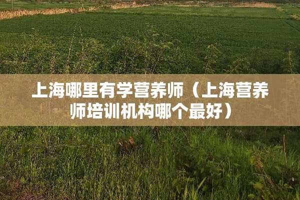 上海哪里有学营养师(上海营养师培训机构哪个最好) 上海哪里有学营养师(上海营养师培训机构哪个最好)