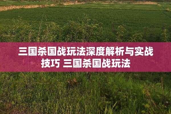 三国杀国战玩法深度解析与实战技巧 三国杀国战玩法