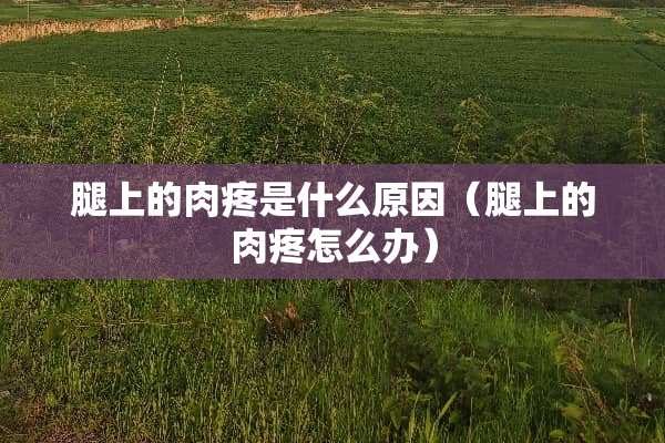 腿上的肉疼是什么原因(腿上的肉疼怎么办) 腿上的肉疼是什么原因(腿上的肉疼怎么办)