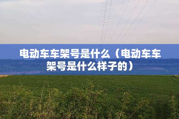 电动车车架号是什么（电动车车架号是什么样子的）