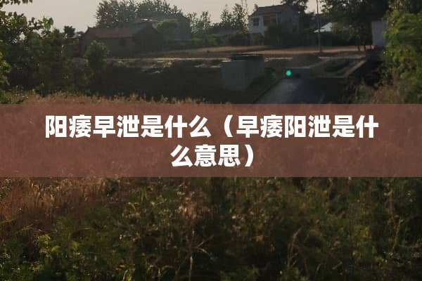 ****是什么（早痿阳泄是什么意思）