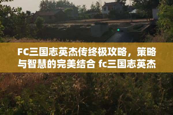 FC三国志英杰传终极攻略，策略与智慧的完美结合 fc三国志英杰传攻略