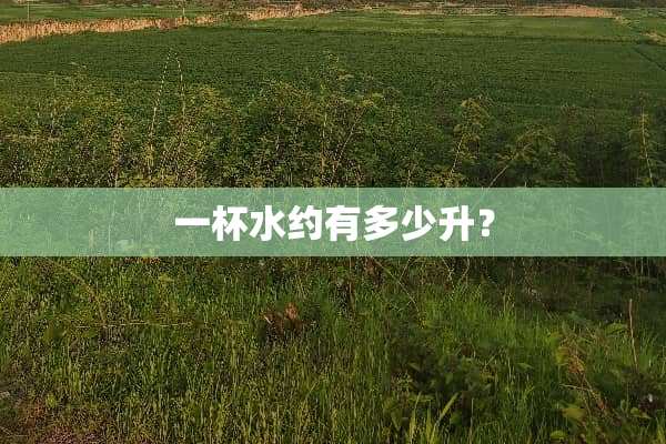 一杯水约有多少升？