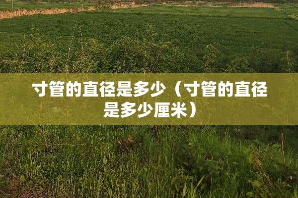 寸管的直径是多少(寸管的直径是多少厘米) 寸管的直径是多少(寸管的直径是多少厘米)