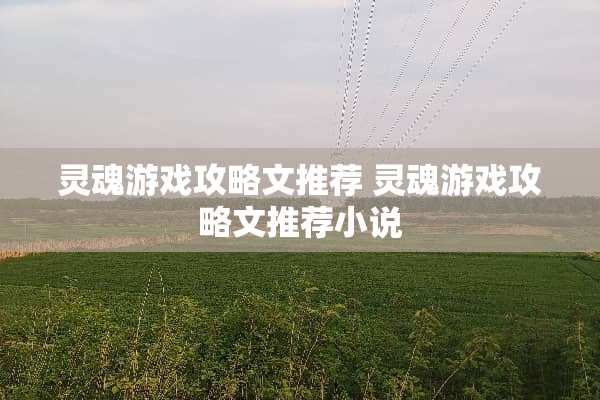 灵魂游戏攻略文推荐 灵魂游戏攻略文推荐小说
