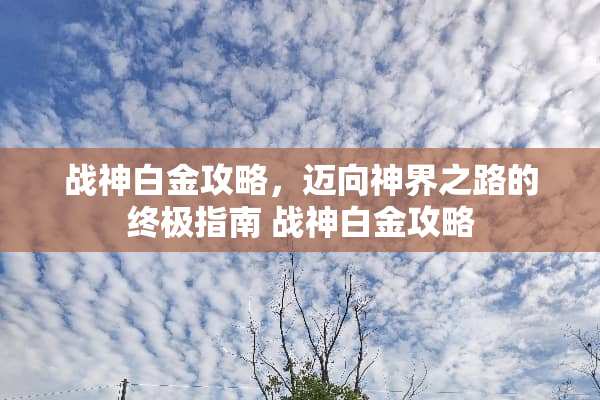 战神白金攻略，迈向神界之路的终极指南 战神白金攻略
