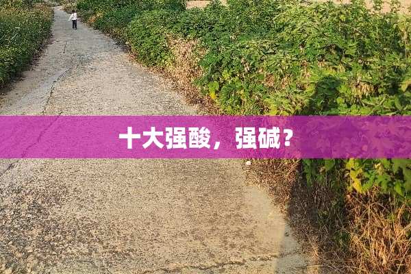 十大强酸，强碱？