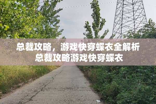 总裁攻略，游戏快穿蝶衣全解析 总裁攻略游戏快穿蝶衣