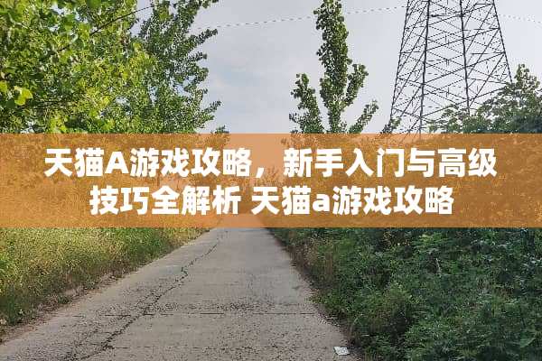 天猫A游戏攻略，新手入门与高级技巧全解析 天猫a游戏攻略