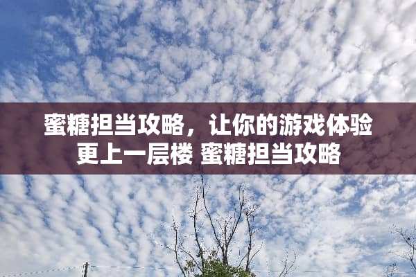 蜜糖担当攻略，让你的游戏体验更上一层楼 蜜糖担当攻略