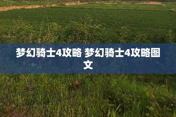 梦幻骑士4攻略 梦幻骑士4攻略图文