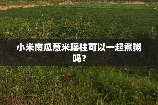 小米南瓜薏米瑶柱可以一起煮粥吗？