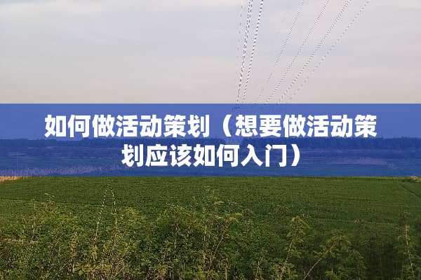如何做活动策划（想要做活动策划应该如何入门）