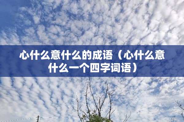 心什么意什么的成语（心什么意什么一个四字词语）