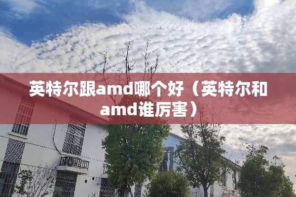 英特尔跟amd哪个好（英特尔和amd谁厉害）