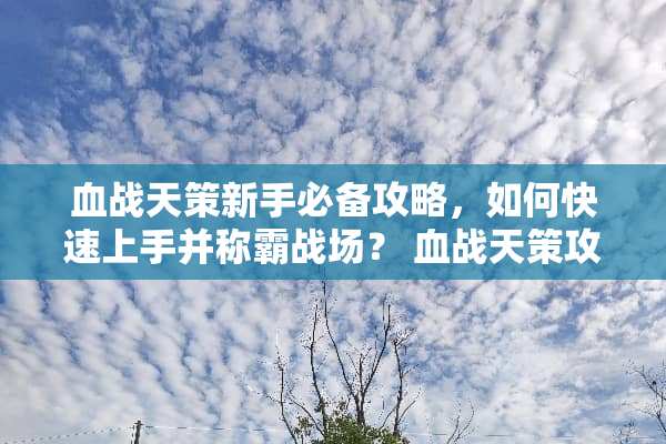 血战天策新手必备攻略，如何快速上手并称霸战场？ 血战天策攻略