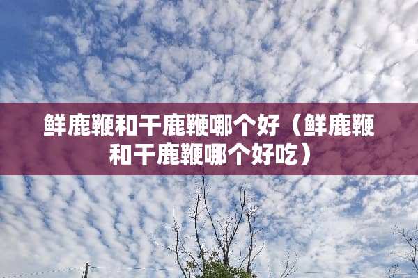 鲜鹿鞭和干鹿鞭哪个好（鲜鹿鞭和干鹿鞭哪个好吃）