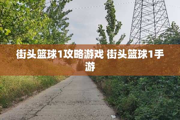 街头篮球1攻略游戏 街头篮球1手游 街头篮球1攻略游戏 街头篮球1手游