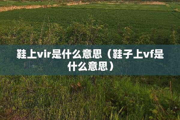 鞋上vir是什么意思(鞋子上vf是什么意思) 鞋上vir是什么意思(鞋子上vf是什么意思)