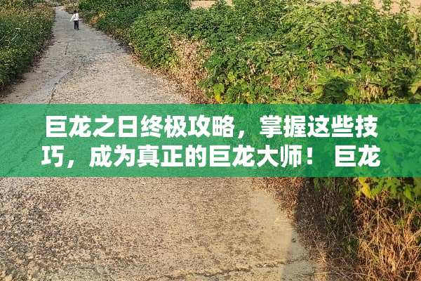 巨龙之日终极攻略,掌握这些技巧,成为真正的巨龙大师! 巨龙之日攻略 巨龙之日终极攻略,掌握这些技巧,成为真正的巨龙大师! 巨龙之日攻略