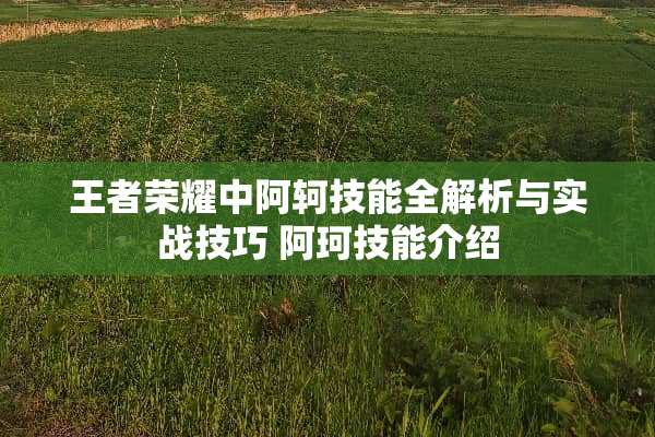 王者荣耀中阿轲技能全解析与实战技巧 阿珂技能介绍