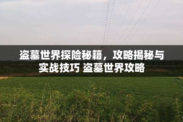 盗墓世界探险秘籍，攻略揭秘与实战技巧 盗墓世界攻略