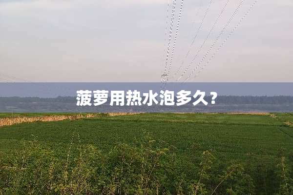 菠萝用热水泡多久？