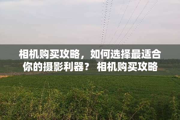 相机购买攻略，如何选择最适合你的摄影利器？ 相机购买攻略