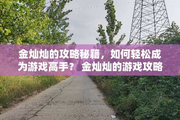 金灿灿的攻略秘籍,如何轻松成为游戏高手? 金灿灿的游戏攻略在哪看 金灿灿的攻略秘籍,如何轻松成为游戏高手? 金灿灿的游戏攻略在哪看