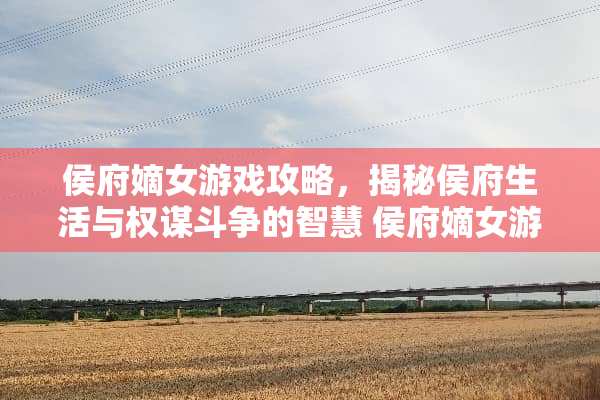 侯府嫡女游戏攻略，揭秘侯府生活与权谋斗争的智慧 侯府嫡女游戏攻略