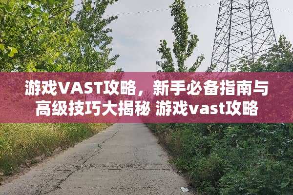 游戏VAST攻略,新手必备指南与高级技巧大揭秘 游戏vast攻略 游戏VAST攻略,新手必备指南与高级技巧大揭秘 游戏vast攻略