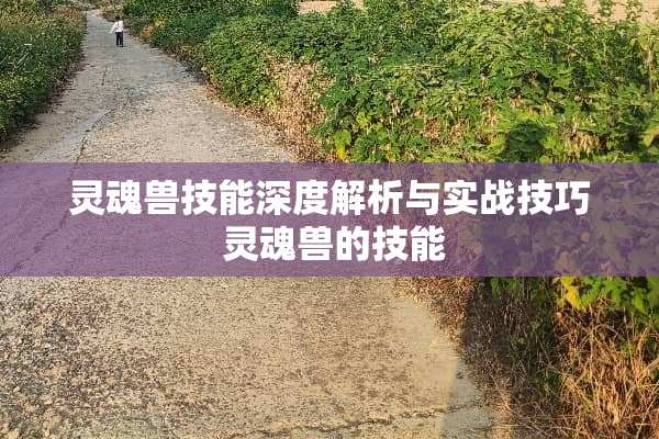 灵魂兽技能深度解析与实战技巧 灵魂兽的技能 灵魂兽技能深度解析与实战技巧 灵魂兽的技能