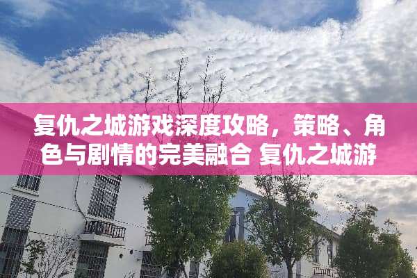 复仇之城游戏深度攻略，策略、角色与剧情的完美融合 复仇之城游戏攻略