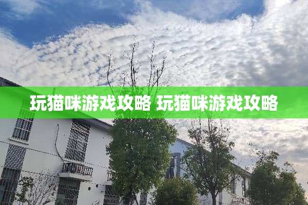 玩猫咪游戏攻略 玩猫咪游戏攻略