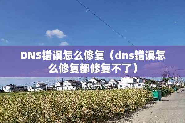 DNS错误怎么修复(dns错误怎么修复都修复不了) DNS错误怎么修复(dns错误怎么修复都修复不了)