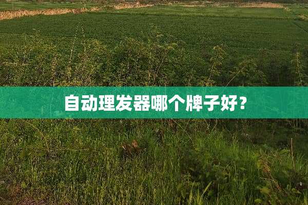 自动理发器哪个牌子好？