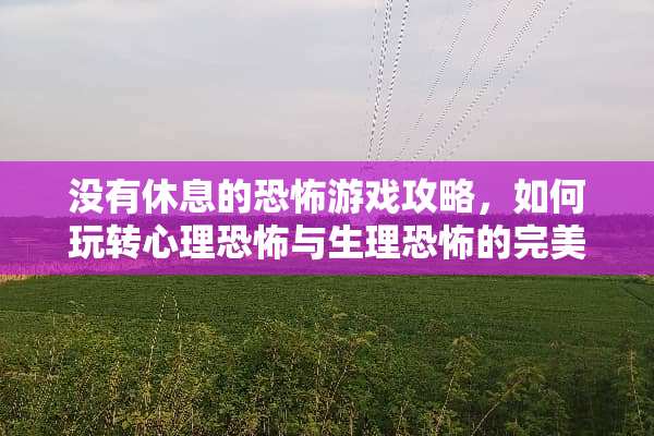 没有休息的恐怖游戏攻略,如何玩转心理恐怖与生理恐怖的完美结合 没有休息恐怖游戏攻略 没有休息的恐怖游戏攻略,如何玩转心理恐怖与生理恐怖的完美结合 没有休息恐怖游戏攻略