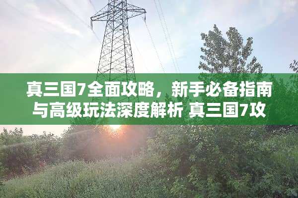 真三国7全面攻略，新手必备指南与高级玩法深度解析 真三国7攻略
