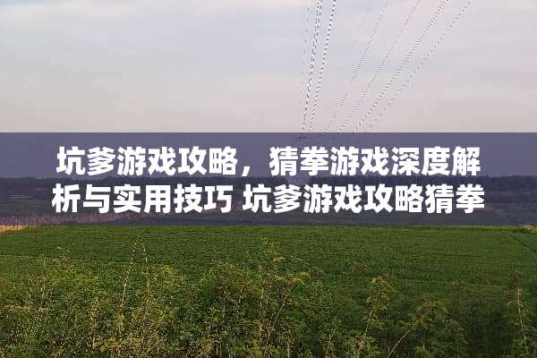 坑爹游戏攻略，猜拳游戏深度解析与实用技巧 坑爹游戏攻略猜拳