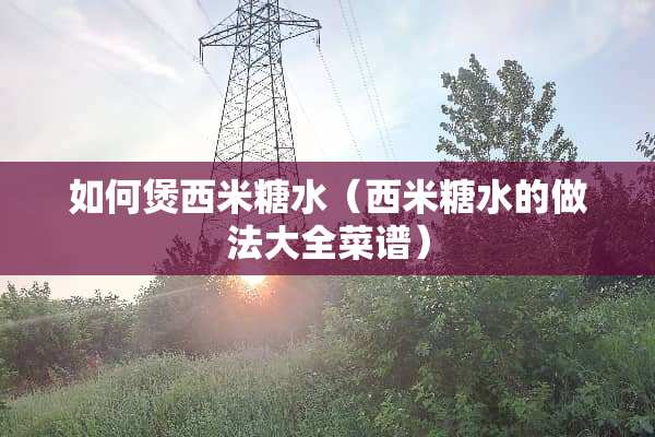 如何煲西米糖水（西米糖水的做法大全菜谱）