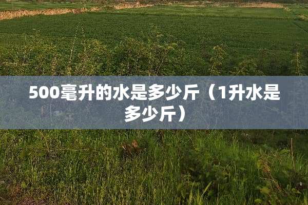 500毫升的水是多少斤(1升水是多少斤) 500毫升的水是多少斤(1升水是多少斤)