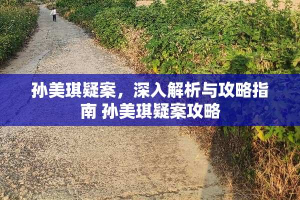 孙美琪疑案，深入解析与攻略指南 孙美琪疑案攻略