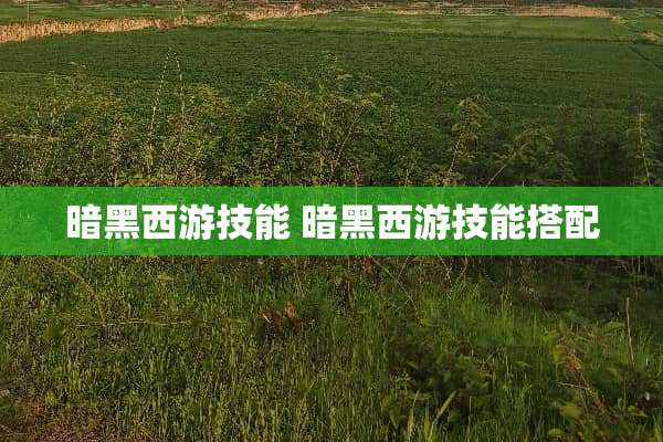 暗黑西游技能 暗黑西游技能搭配